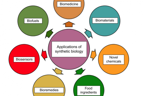 Overview of Synthetic Biology