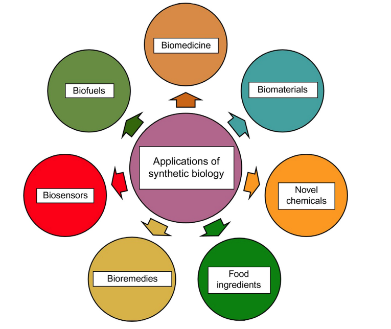 Overview of Synthetic Biology