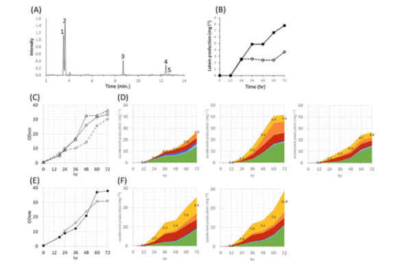 Comparison of Fermentation Condition Optimization