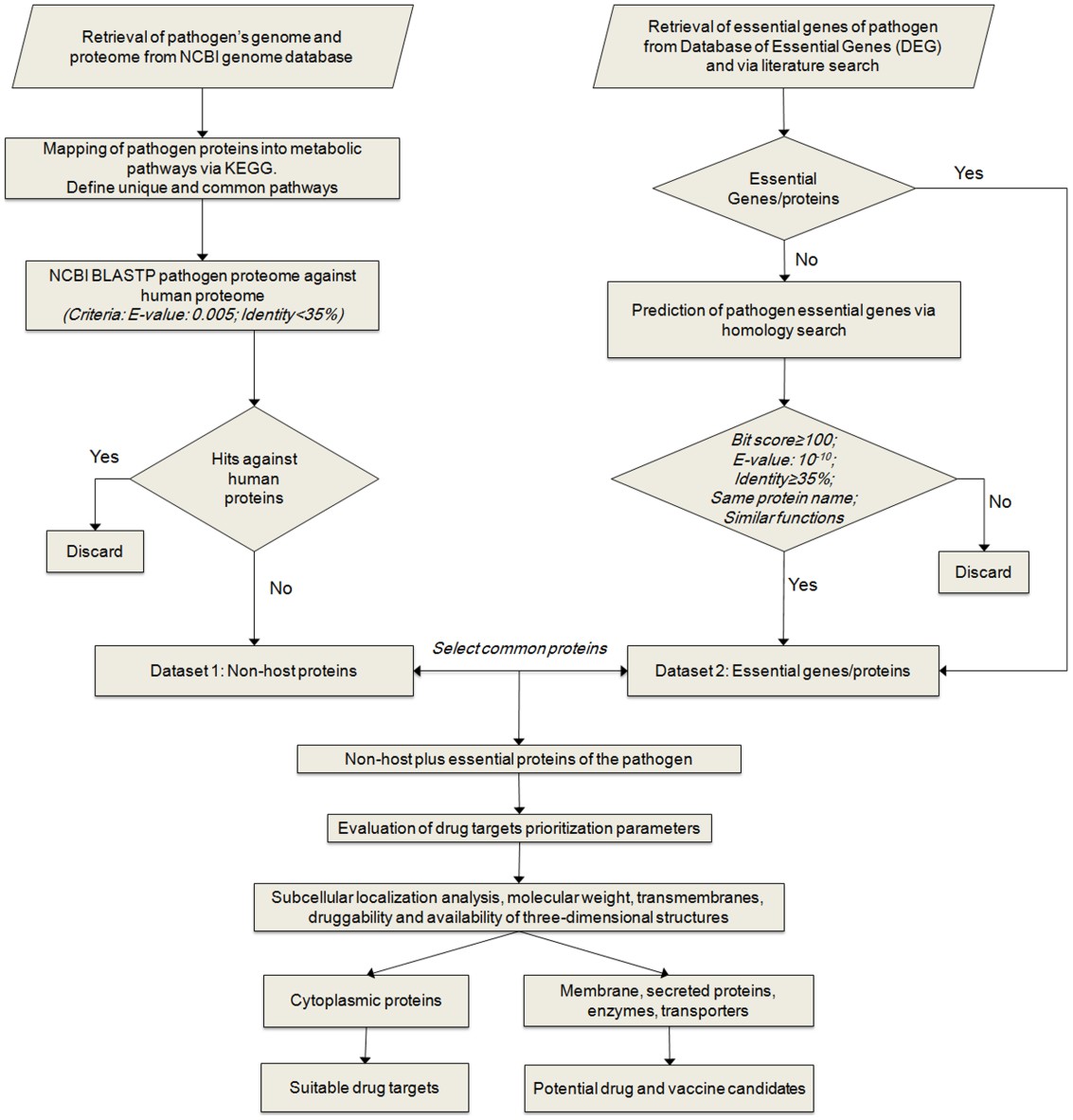 Comparative genomics workflow.