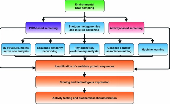 Flowchart of strategies for in silico selection and experimental characterization of candidate metagenomic enzymes.