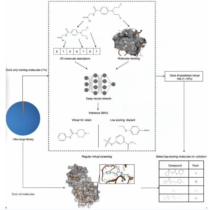 Artificial intelligence enabled virtual screening of ultra-large chemical libraries with deep docking (Francesco G., et al., 2022)