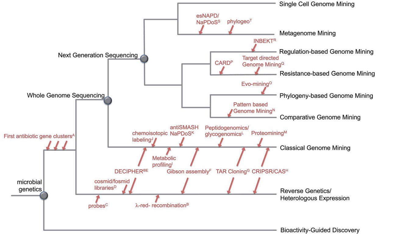 Evolution of genome mining (N Ziemert, et al., 2016)