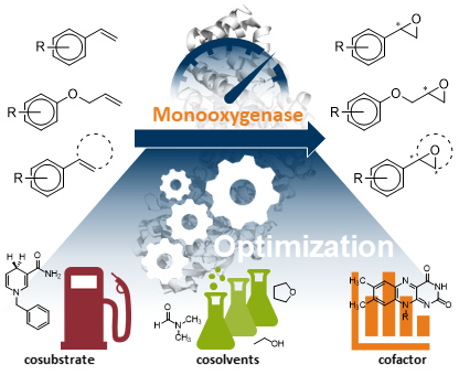 Optimization of monooxygenases.