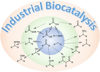 Industrial biocatalysts.