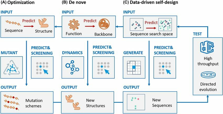 Enzyme design strategies and processes by AI (Yongfan Ming, et al., 2022)