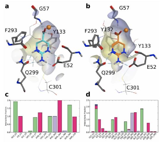 Protein-Ligand Interaction Modeling (Stefanie Kickinger, et al., 2020)