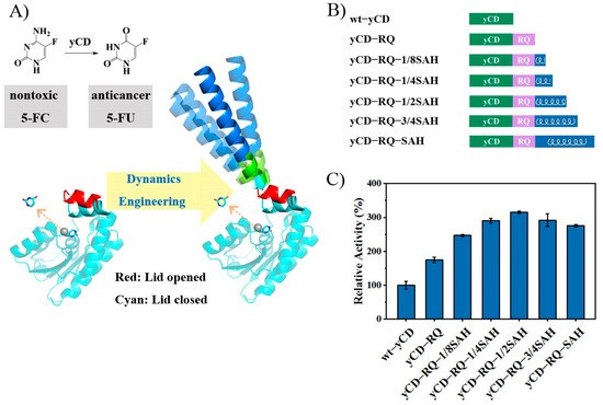 Constructs of yCD variants and their relative activity (Hanzhong D., et al., 2023)