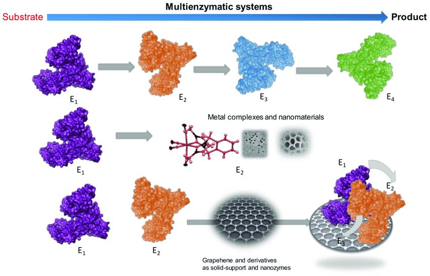 Different concepts of multi-enzymatic cascade processes(Noelia Losada-Garcia, et al., 2020)