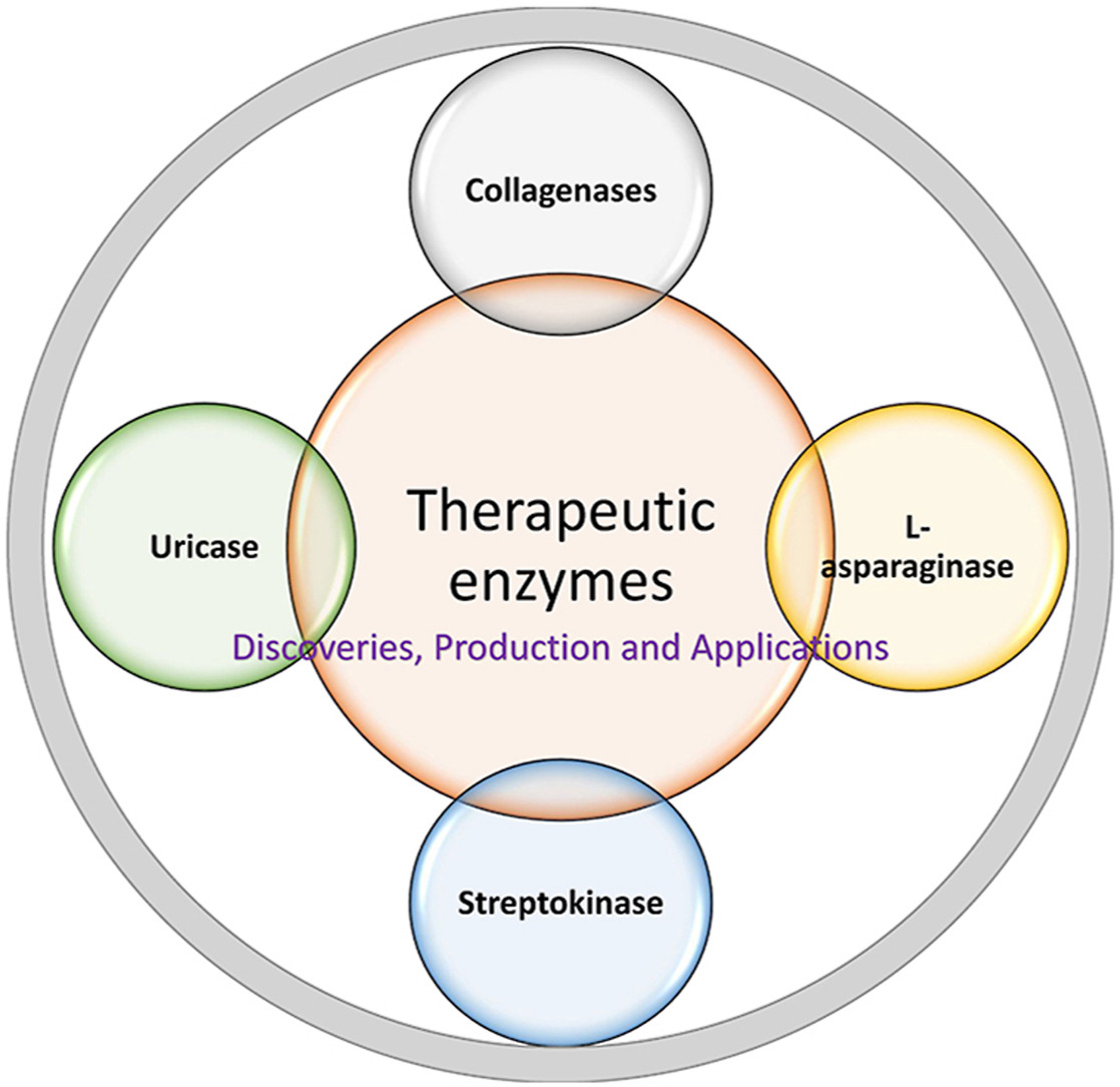 Therapeutic enzymes.