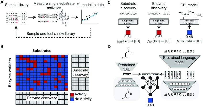 Enzyme-substrate interaction modeling strategies (Samuel Goldman, 2022)