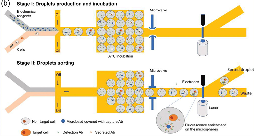 Examples of droplet manipulation.