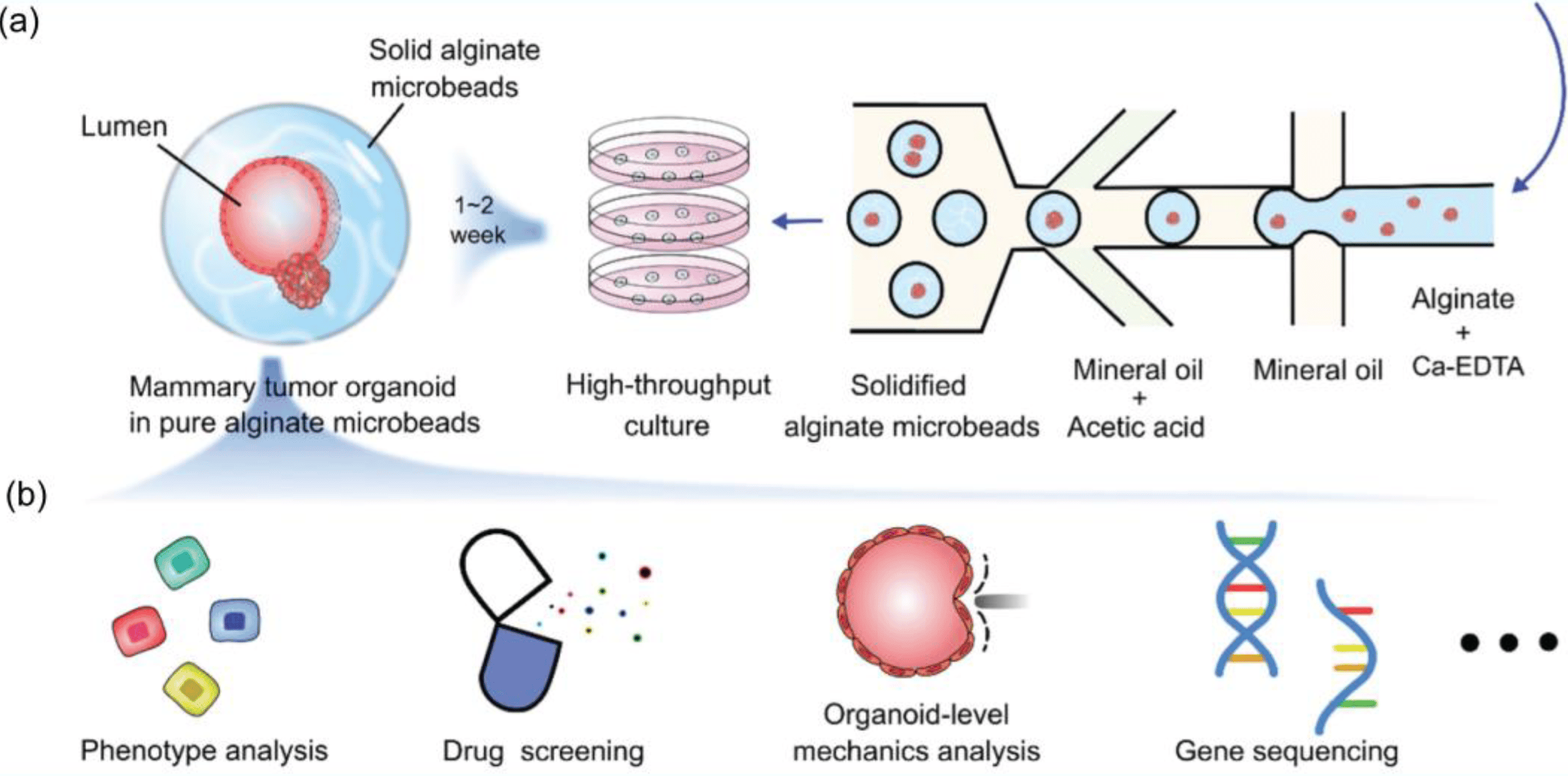 Examples of droplet-based microfluidic applications in drug screening.