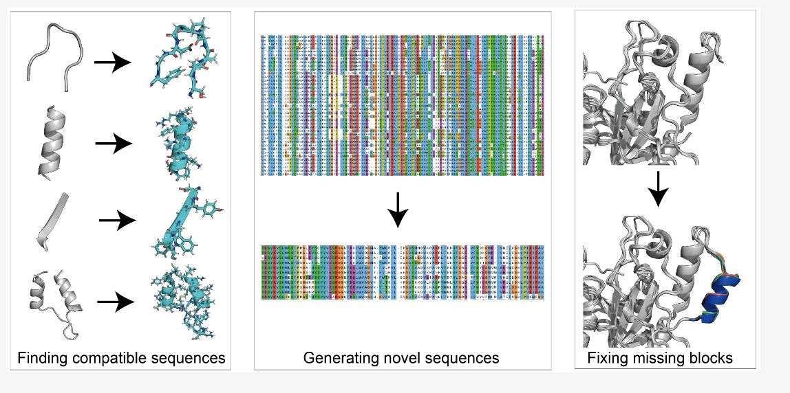 De Novo design of food enzymes (Xinglong W., et al., 2023)