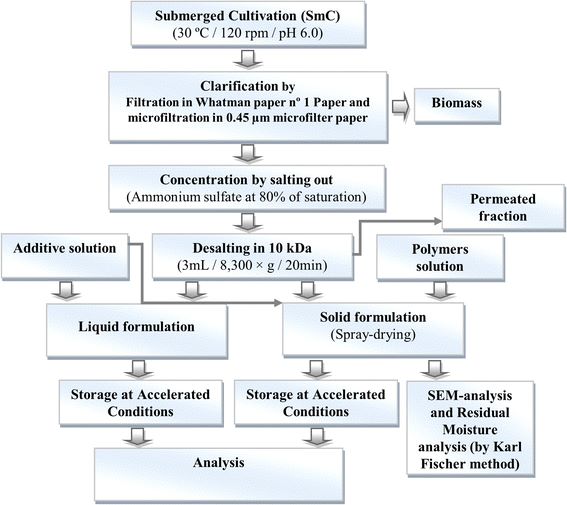 Stages for enzyme production, extraction, formulation, and analysis for liquid and capsule products (Michele R. S., et al., 2015)