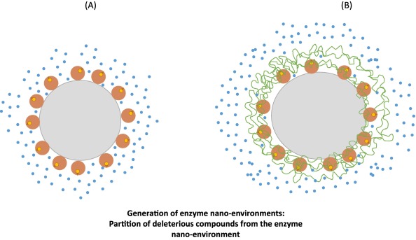 Enzyme stabilization by just preventing enzyme exposition to some inactivation causes (Rafael C. Rodrigues, et al., 2021)