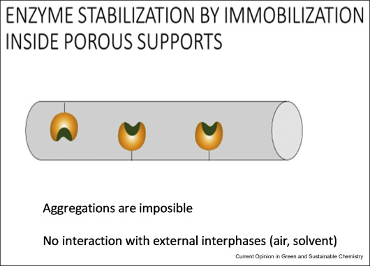 Enzymes stabilization by immobilization.