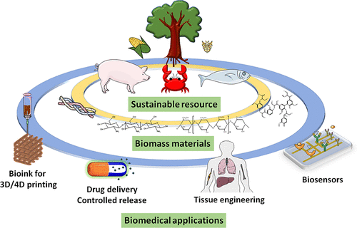 Sustainable biomass materials for biomedical applications.
