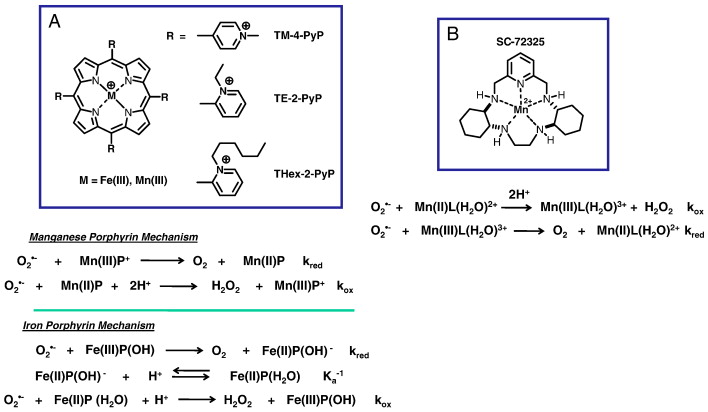 Targeting peroxynitrite driven nitroxidative stress with synzymes (Daniela S. and William N., 2010)