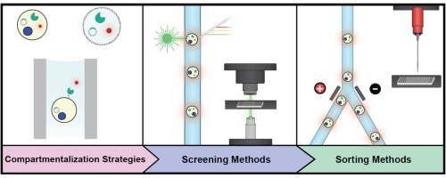 High-throughput screening technologies for enzyme engineering (Chelsea K Longwell, et al., 2016)