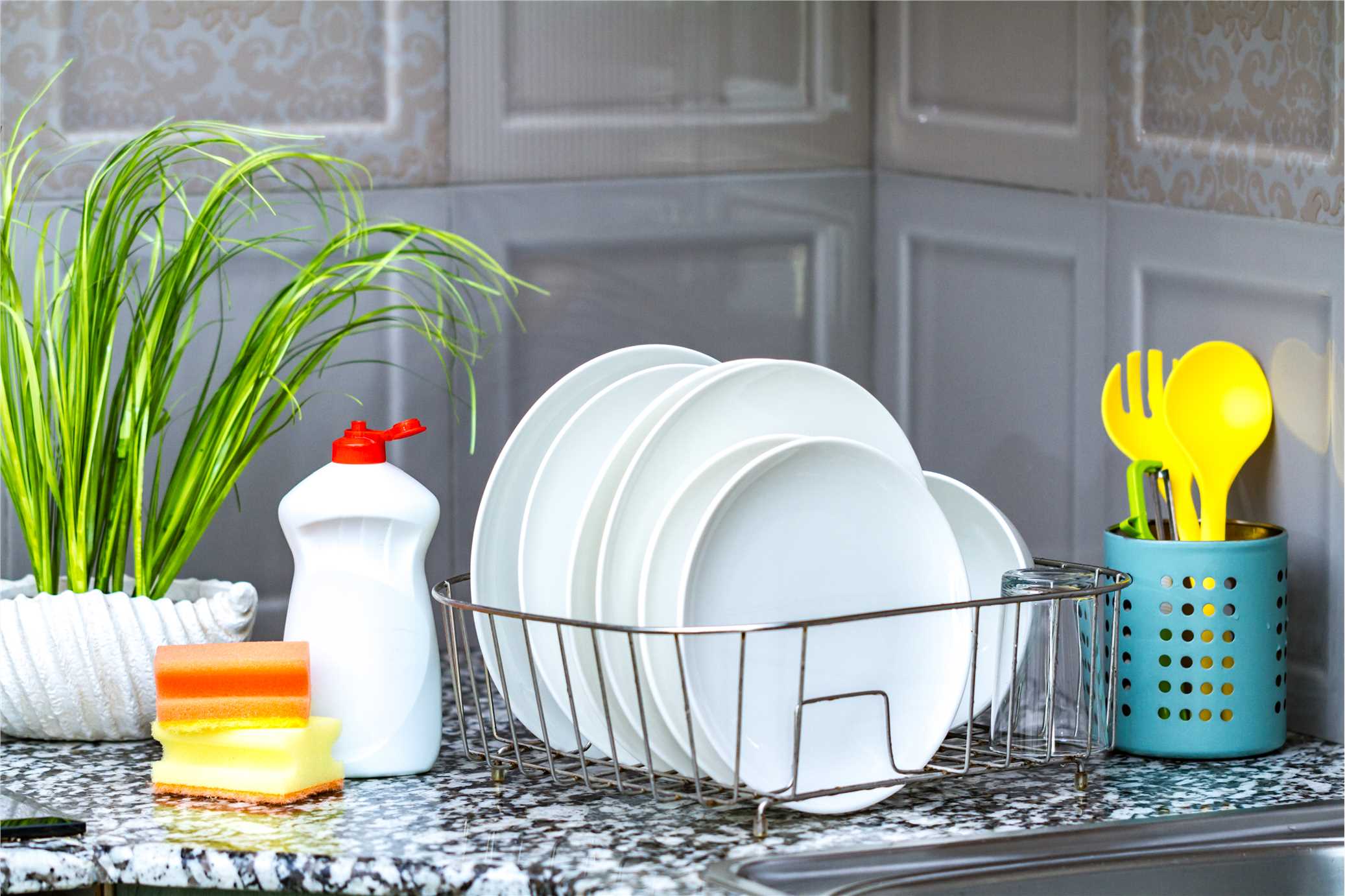 Dishwashing Detergents