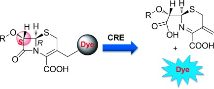 Fig. 1 Engineering the Stereochemistry of Cephalosporin.