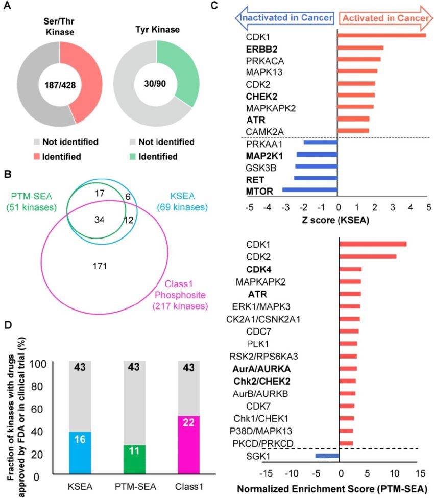 Phosphoproteomics of cancer and normal tissues collected by endoscopic biopsy (Yuichi Abe, et al., 2020)