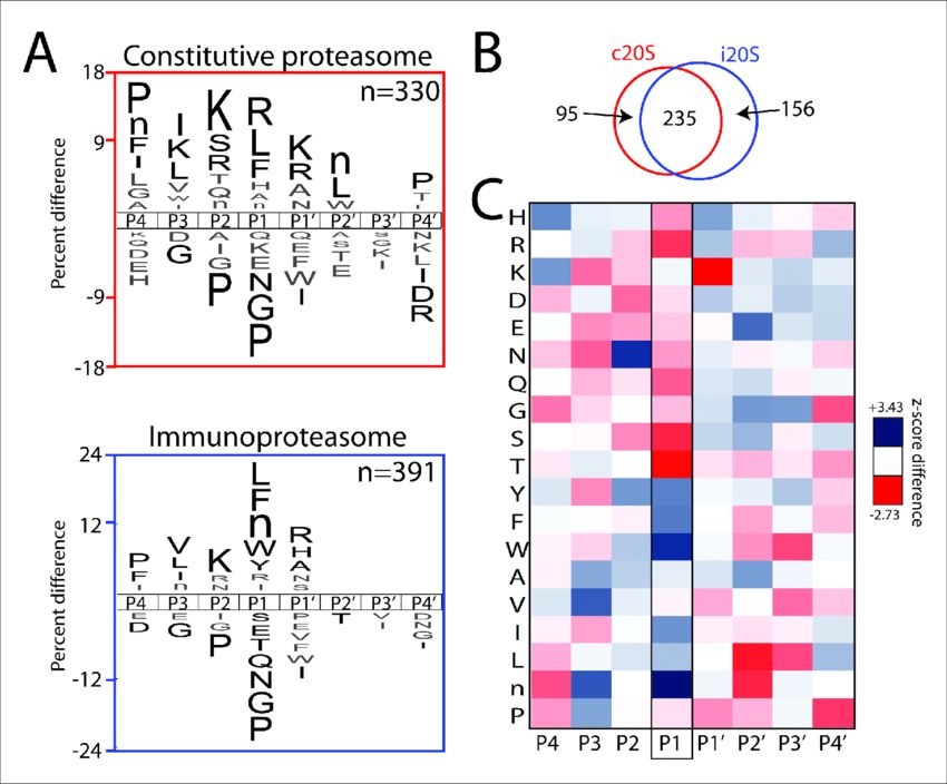 Global substrate specificity screen of the iP and cP (Michael B Winter, et al., 2017)