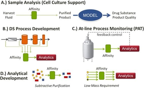 Single-Step affinity purification of enzyme biotherapeutics (Kevin P B., et al., 2014)