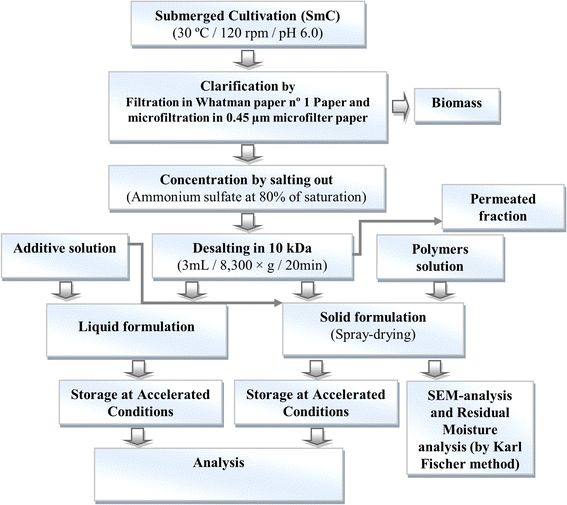 Scheme showing the steps of enzyme production, recovery, formulation and analysis of the liquid and capsule products (Michele Rigon S., et al., 2015)