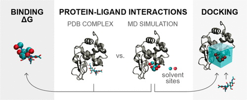 Prediction of protein-ligand interactions and improved docking by molecular dynamics in mixed solvents.