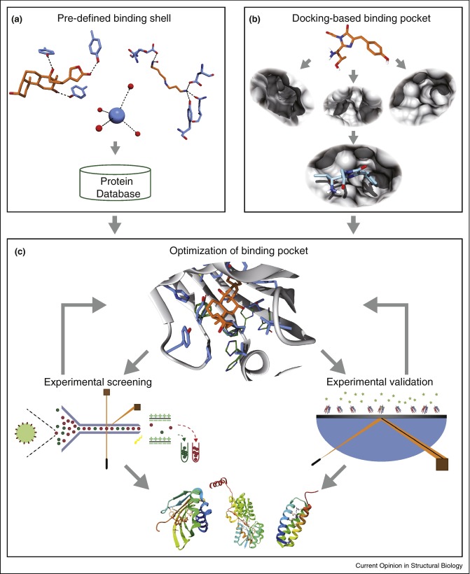 Scheme of the two commonly used approaches of computational ligand-binding protein design.